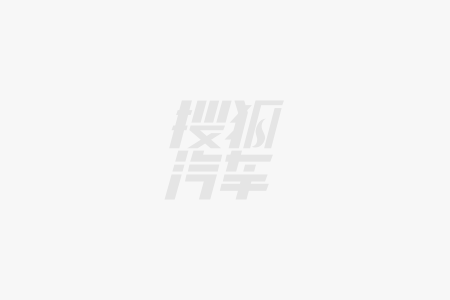 威尼斯wns8855667月上市纯电车保举哪款车让你心动了？